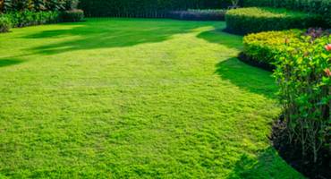 Landscaping & Irrigation Service